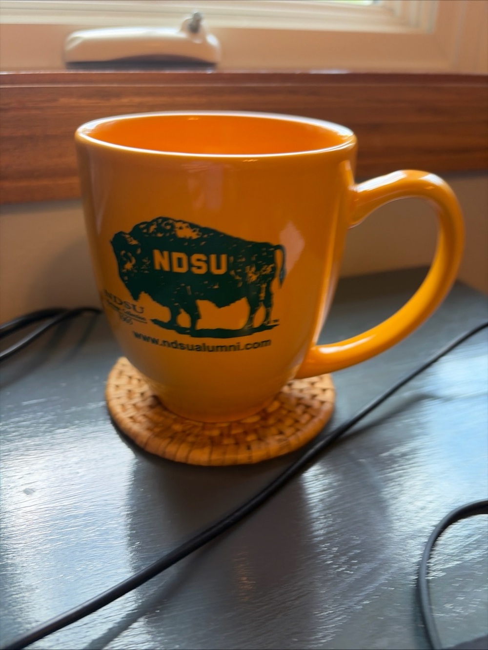 NDSU Alumni Ceramic Coffee Mug with bison on 2 sides. Vintage
